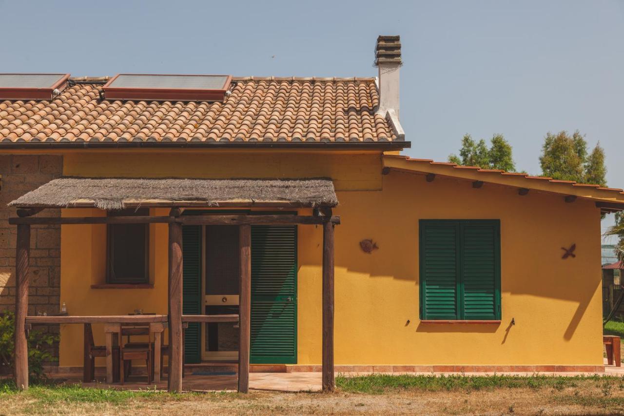 Agriturismo Albarosa-Terre Dell'Amore Marina di Grosseto Eksteriør billede