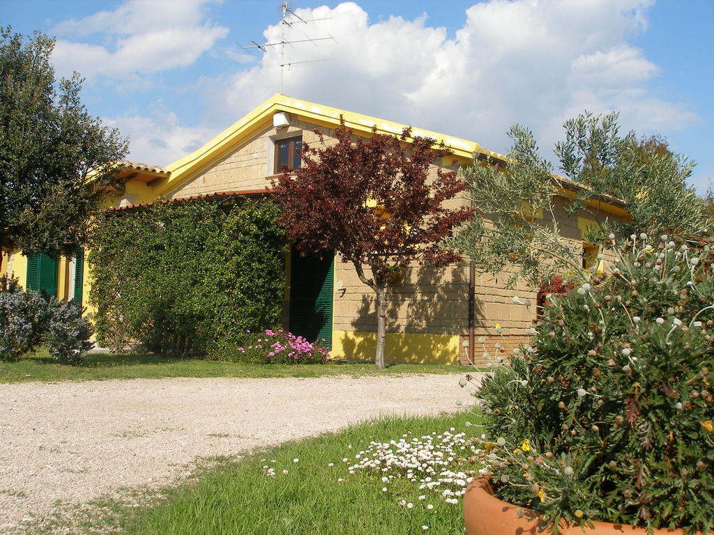 Agriturismo Albarosa-Terre Dell'Amore Marina di Grosseto Eksteriør billede