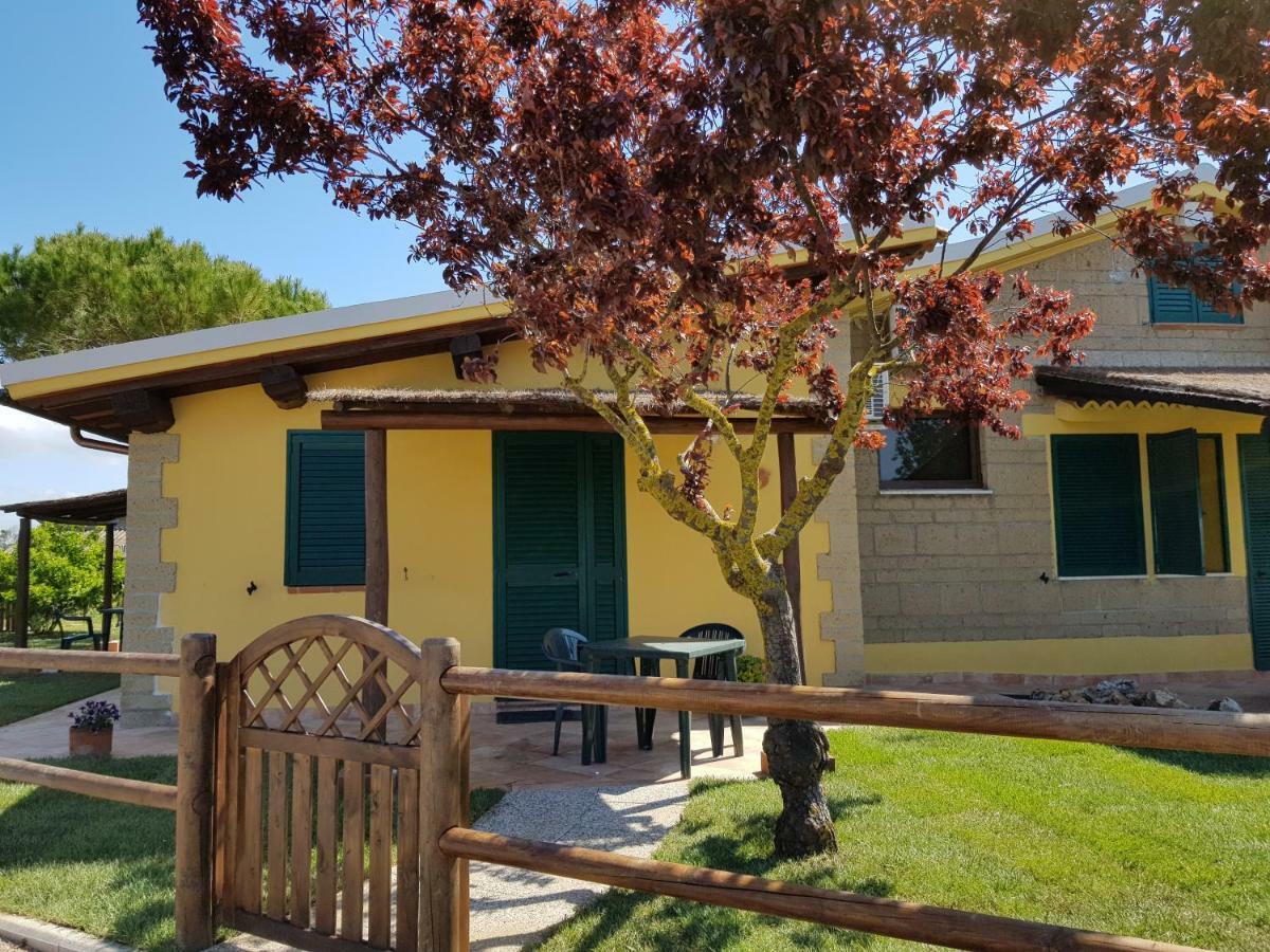 Agriturismo Albarosa-Terre Dell'Amore Marina di Grosseto Eksteriør billede